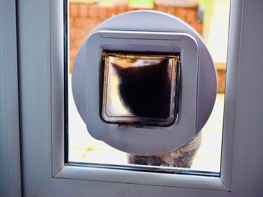 Cat Flap Installations